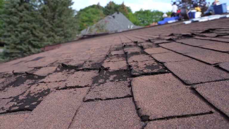 Best Chimney Flashing Repair  in Moriches, NY
